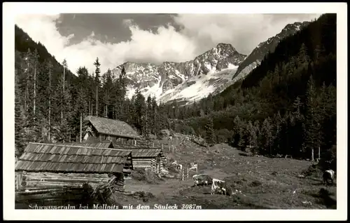 Ansichtskarte Mallnitz Schwussneralm bei Mallnitz mit dem Säuleck 1950