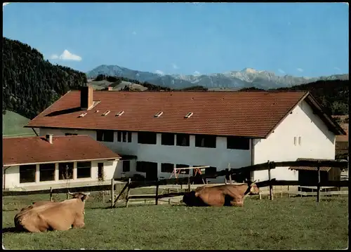 Ansichtskarte Missen-Wilhams (Allgäu) Ferienhof ,,OCHSENKOPF" Aigis 1970