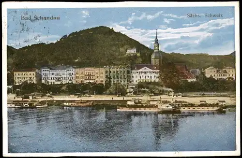 Ansichtskarte Bad Schandau Stadt und Elbdampfer# 1925