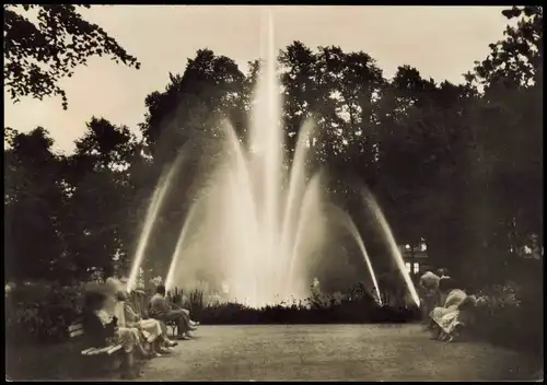 Ansichtskarte Blankenburg (Harz) Thiepark Wasserspiele 1970