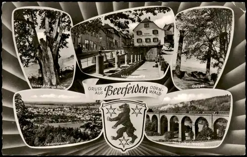 Beerfelden (Odenwald) Mehrbild-AK mit   Galgen, 1000-jährige Eiche uvm. 1960