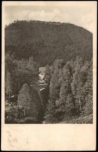 Kleinhennersdorf-Gohrisch (Sächs. Schweiz) Pension Hugo Förster 1938