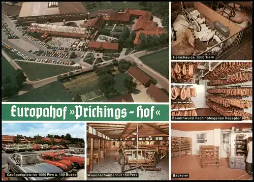 Sythen-Haltern am See Mehrbildkarte Bauernhof Europahof Prickingshof 1983