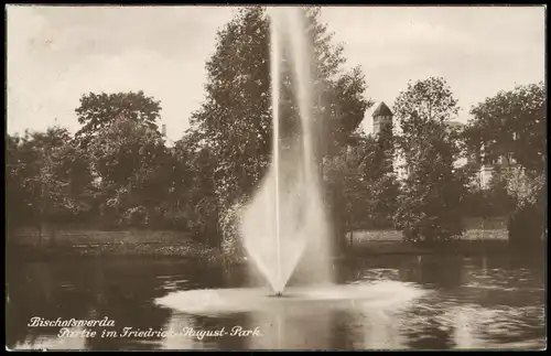 Ansichtskarte Bischofswerda Partie im Friedrich August-Park, 1924