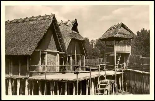 Ansichtskarte Unteruhldingen-Uhldingen-Mühlhofen Pfahlbaumuseum 1950