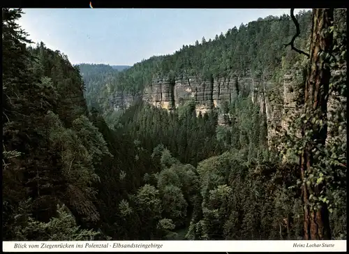 Hohnstein (Sächs. Schweiz) Ziegenrücken ins Polenztal · Elbsandsteingebirge 1993