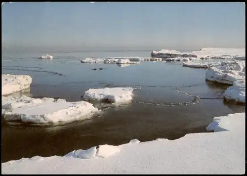 Ansichtskarte .Mecklenburg-Vorpommern Ostsee im Winter 1980