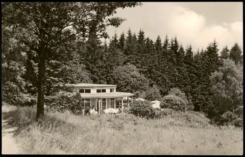 Ansichtskarte Brambach HOG Waldcafe 1978