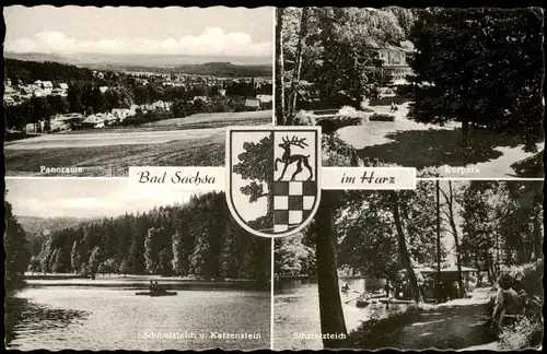 Ansichtskarte Bad Sachsa Schmelzteich, Stadt, Kurpark 1958
