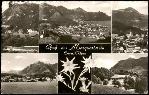 Ansichtskarte Marquartstein Stadtansichten Edelweiß 1965