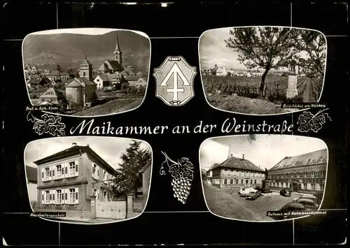 Ansichtskarte Maikammer Stadt, Weinberg, Schule 1967