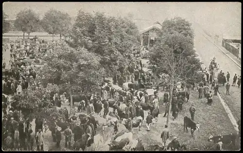 CPA .Frankreich Frankreich France - Viehmarkt 1913