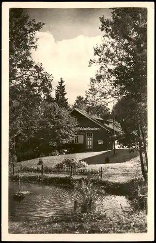 Brotterode Umland-Ansicht mit Restaurant Waldschlößchen, Gehege 1958