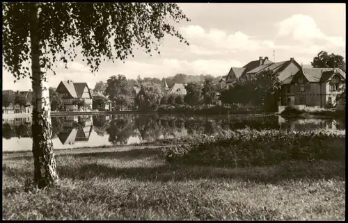 Ansichtskarte Ilsenburg (Harz) Forellenteich 1967