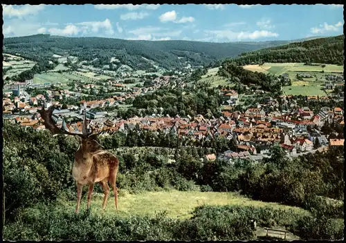 Ansichtskarte Bad Orb Stadt - Fotomontage im Vordergrund Hirsch 1969