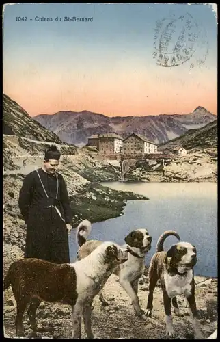Ansichtskarte .Schweiz Chiens du St-Bernard Hunde Pastor Helvetia 1925