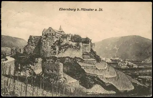 Ansichtskarte Bad Münster am Stein-Ebernburg Ebernburg, Weinberge 1913