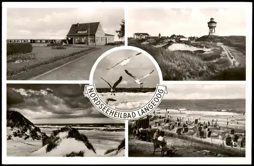Ansichtskarte Langeoog Möwen, Turm, Strand, Haus 1962