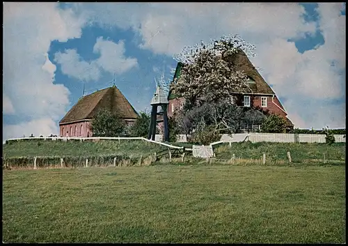 Ansichtskarte Hallig Hooge Kirchwarft 1970