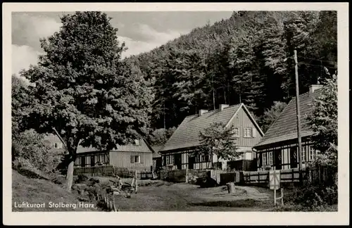 Ansichtskarte Stolberg (Harz) Häuser Partie im Zechental 1956