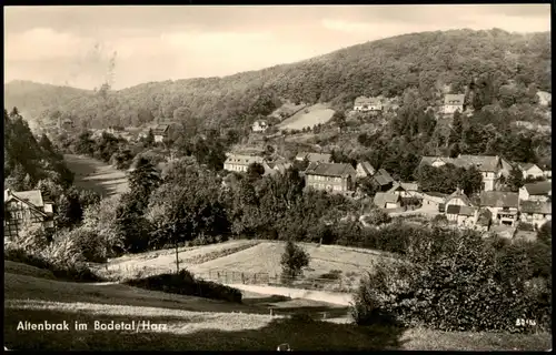 Ansichtskarte Altenbrak Panorama-Ansicht; Teilansicht, Bodetal 1961/1960