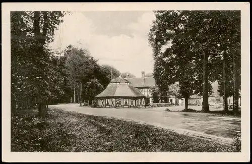 Ansichtskarte Gernrode-Quedlinburg Waldwirtschaft Sternhaus 1954