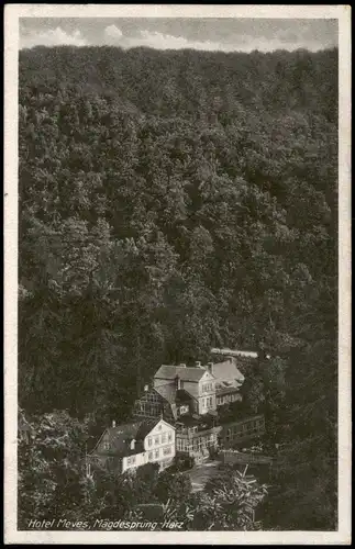 Ansichtskarte Mägdesprung-Harzgerode Partie am Hotel Meves 1955
