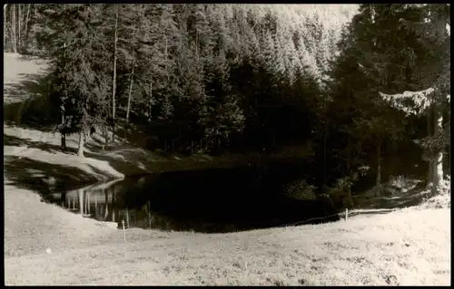 Ansichtskarte Hinternah Umland-Ansicht Partie am Kohlbachsteich 1960