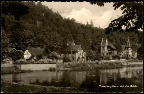 Ansichtskarte Treseburg Gasthaus Waldesruh, auf der Halde 1960