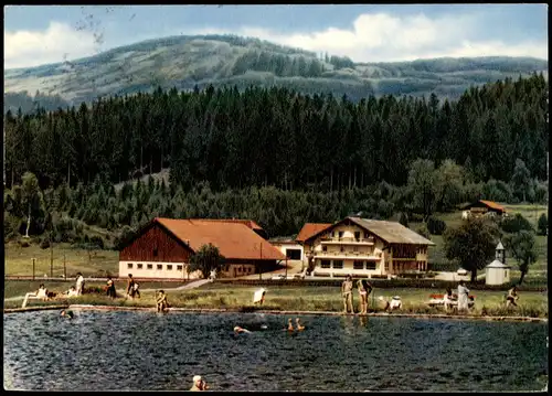 Ansichtskarte Bodenmais Gasthof - Pension Böhmhof 1967