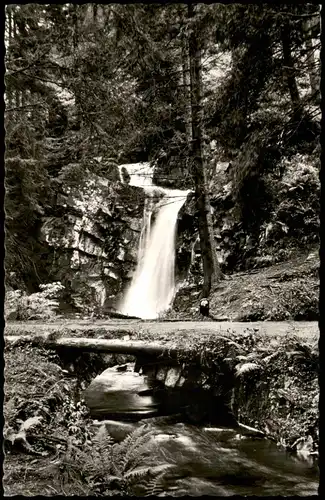 Ansichtskarte Clausthal-Zellerfeld Wasserfall im Spiegeltol 1955