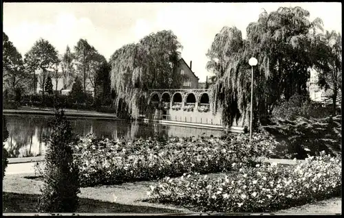 Ansichtskarte Uetersen Rosarium, Park mit Teichanlage 1960