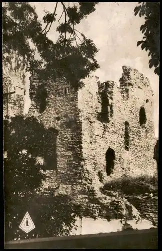 Ansichtskarte Bad Lippspringe Burgruine im Arminius-Park 1950