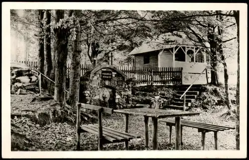 Ansichtskarte Sachsenbrunn Werra-Quelle 1954