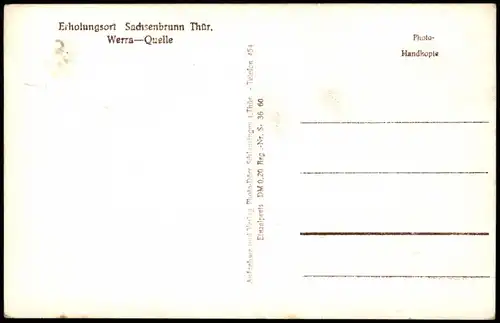 Ansichtskarte Sachsenbrunn Werra-Quelle 1954