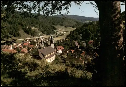 Ansichtskarte Todtmoos Panorama-Ansicht 1969