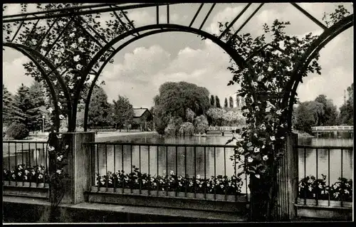 Ansichtskarte Uetersen Blick auf Rosarium 1950