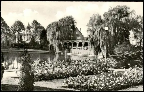 Ansichtskarte Uetersen Rosarium, Blumen-Beet, Teich 1950