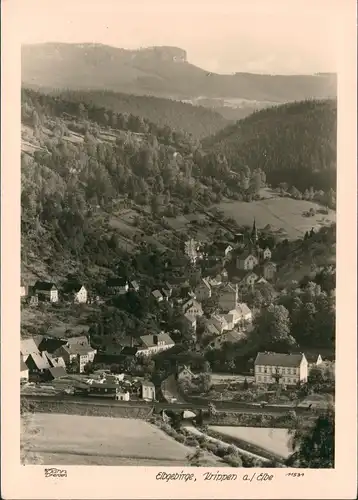 Ansichtskarte Krippen-Bad Schandau Bahnstrecke 1952 Walter Hahn:11531