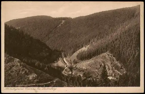 Leutenberg Umland-Ansicht Sormitzgrund Grünau b. Leutenberg 1920