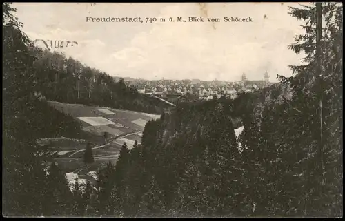 Ansichtskarte Freudenstadt Panorama-Ansicht Blick vom Schöneck 1911