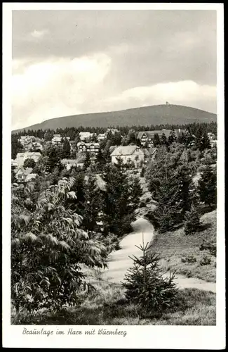 Ansichtskarte Braunlage Häuser am Wurmberg 1956
