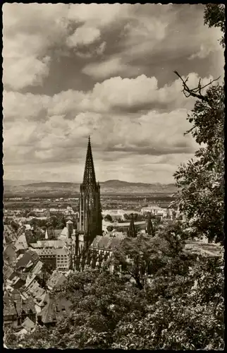 Ansichtskarte Freiburg im Breisgau Blick auf Kaiserstuhl u. Vogesen 1955