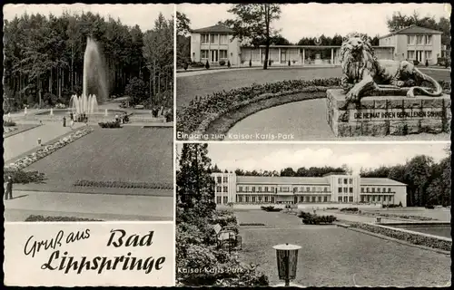 Ansichtskarte Bad Lippspringe 3 Bild - Parkanlagen 1953