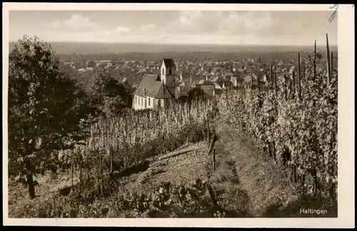 Ansichtskarte Haltingen Weinberg - Stadt 1952