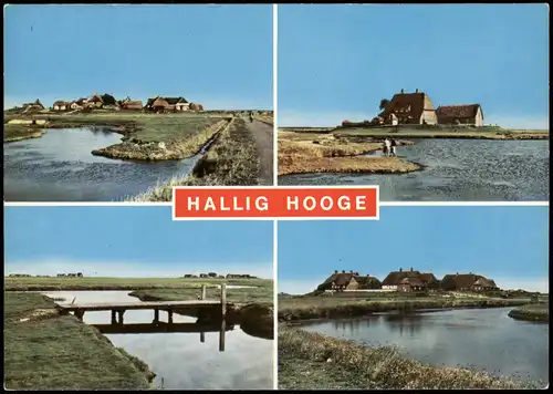 Ansichtskarte Hallig Hooge 4 Bild Brücke, Häuser 1981