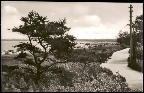 Ansichtskarte Timmendorfer Strand Strandpromenade 1954