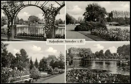 Ansichtskarte Uetersen 4 Bild im Rosarium 1954