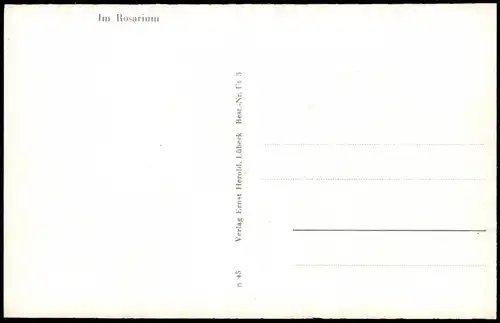 Ansichtskarte Uetersen 4 Bild im Rosarium 1954