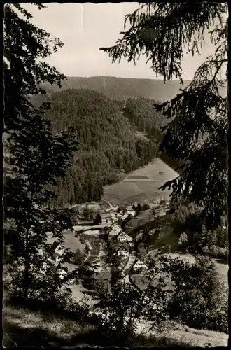Ansichtskarte Schönmünzach-Baiersbronn Stadt im Murgtal 1954